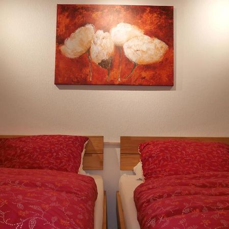Ruhiges Apartment Nuernberg Sued Ost - Naehe Messe - Mit Wallbox Esterno foto